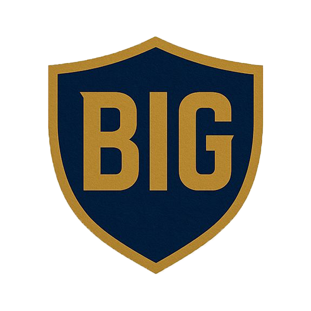 BIG SECURITE PRIVEE